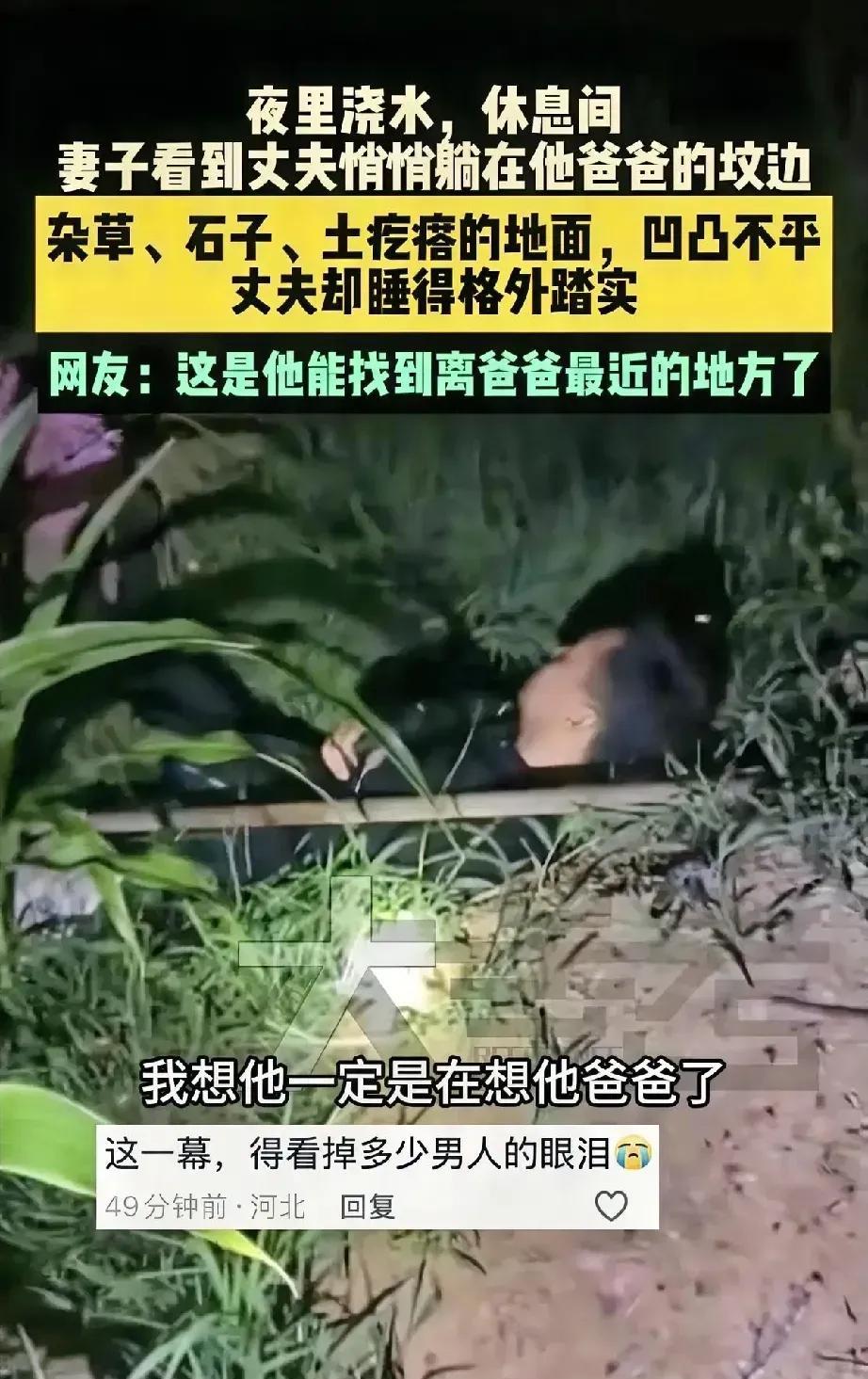 这一幕，看得我直想掉泪！河北一对夫妻夜间浇地，中间休息了一会，妻子却突然发现丈
