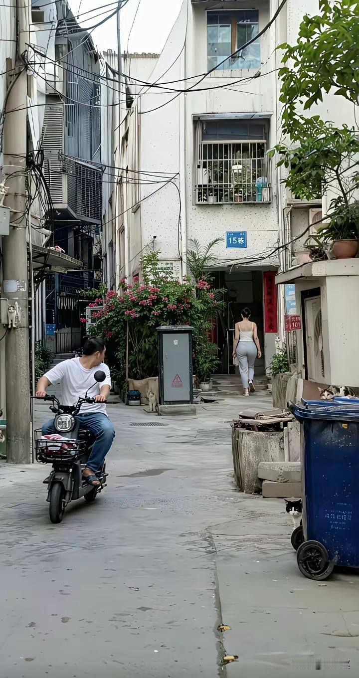 回眸一瞬间万物静音两只猫咪都屏住呼吸