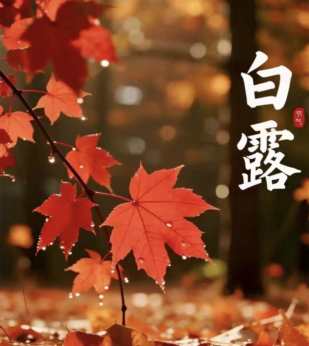 明日白露"凶日",提醒中老年:1要戴,2要坐,忌3样，4多吃，别大意
