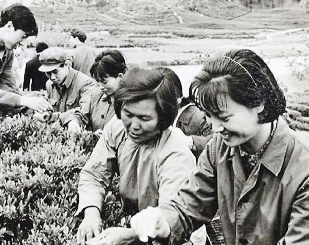上世纪七十年代初，这位美丽的京剧演员因主演一部家喻户晓的现代京剧，成为了戏曲界的