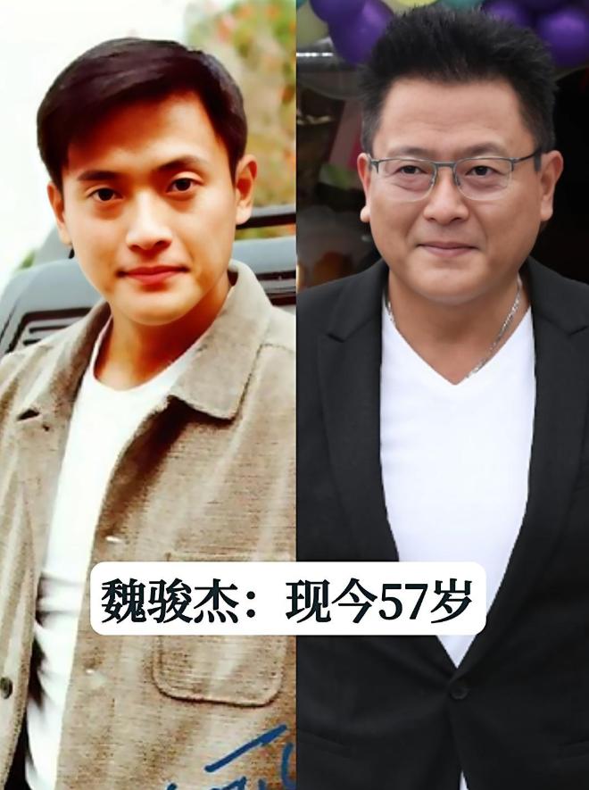 年轻时的魏骏杰英俊帅气，老了变化很大。年轻时的李绮红甜美迷人，老了变化很大。