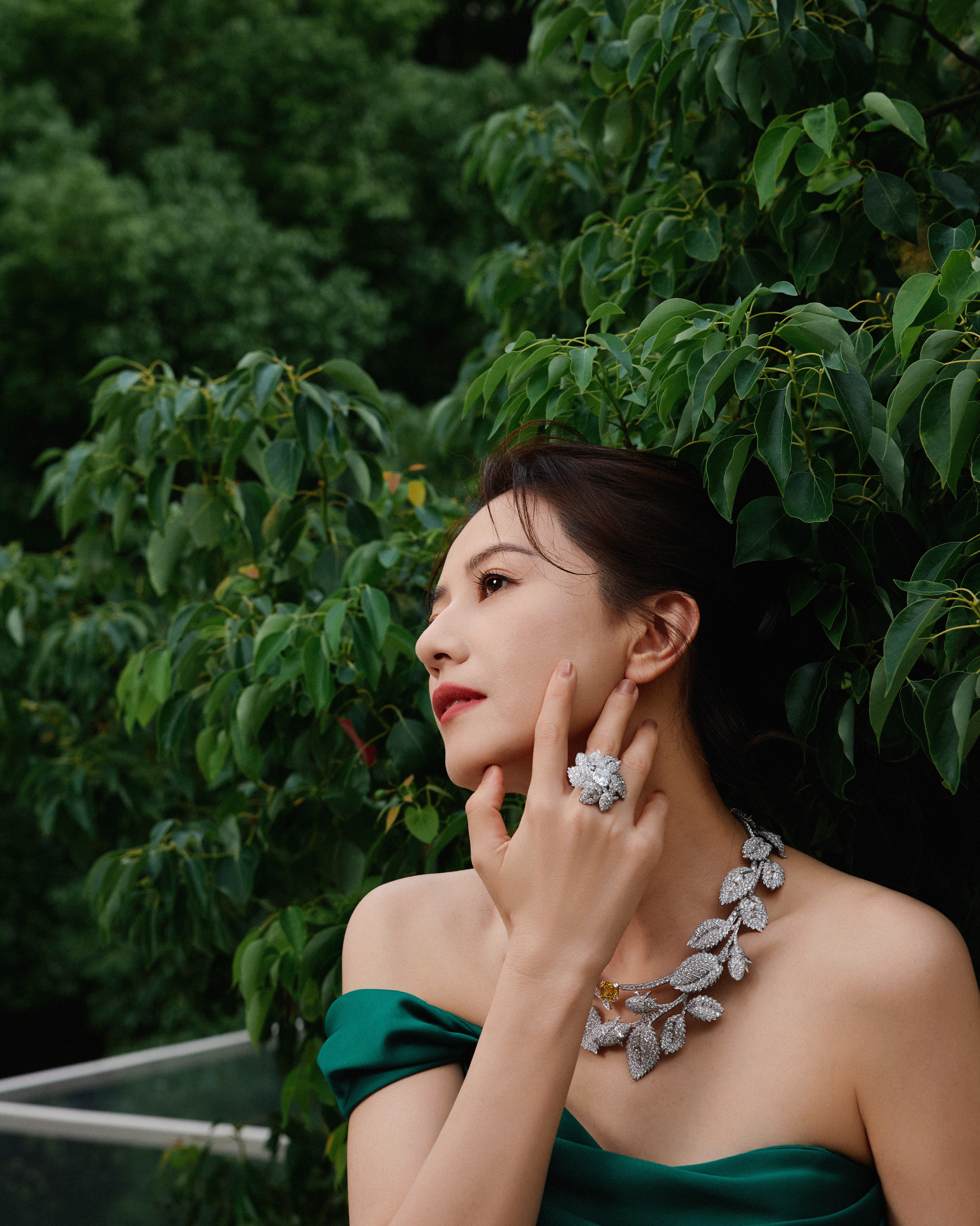 和高圆圆重逢绿野芳踪🍃踏入静谧典雅的自然秘境​​​