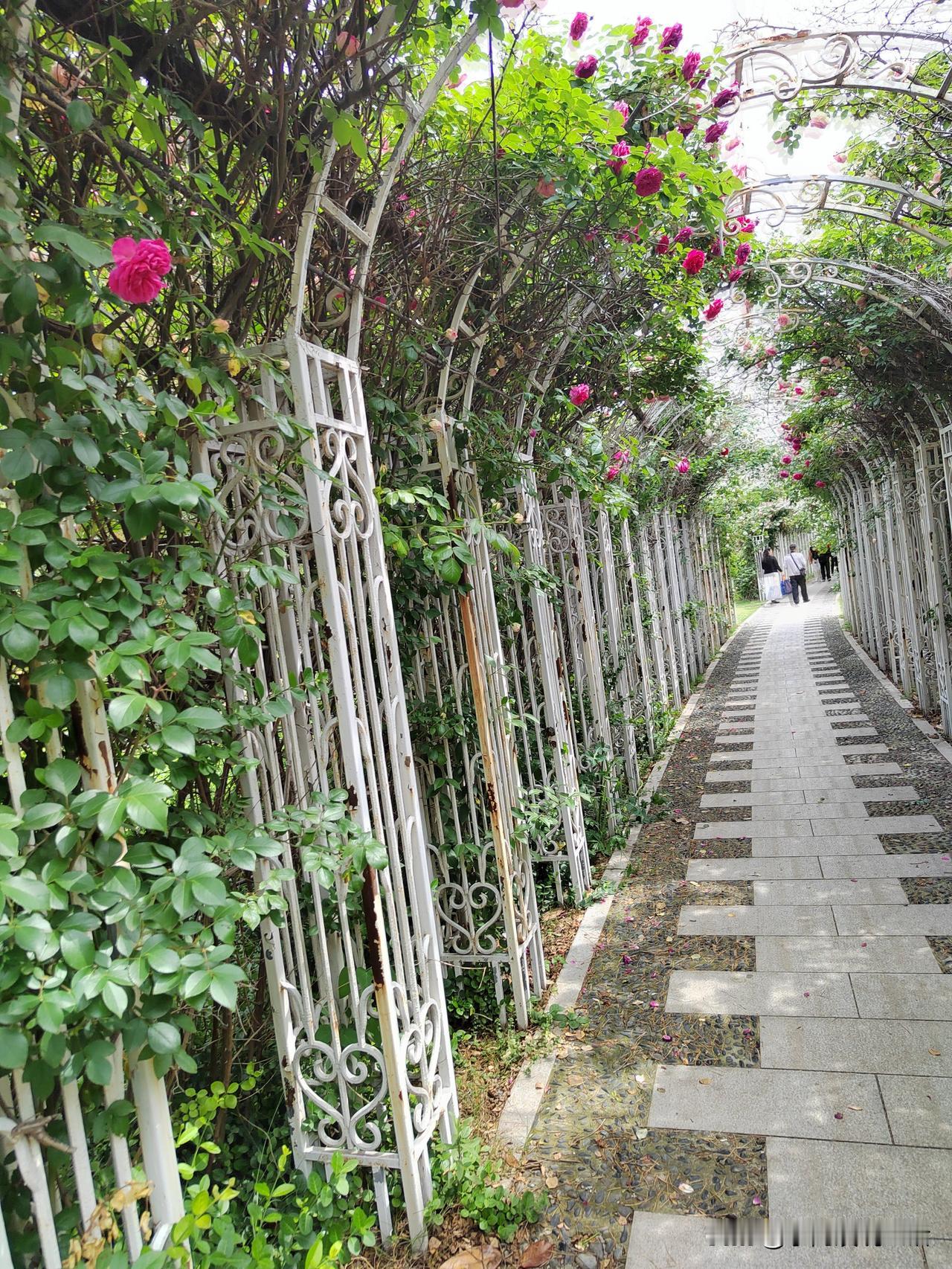 喜欢存钱的人，往往都是穷人，都是吃过生活苦的人！所以呢，一般来说，存钱都是老人