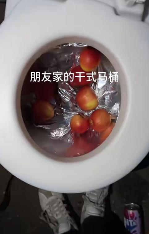 就很离谱！福建，女子去朋友家做客，突然想上厕所，结果却发现，朋友家用的是干式马桶