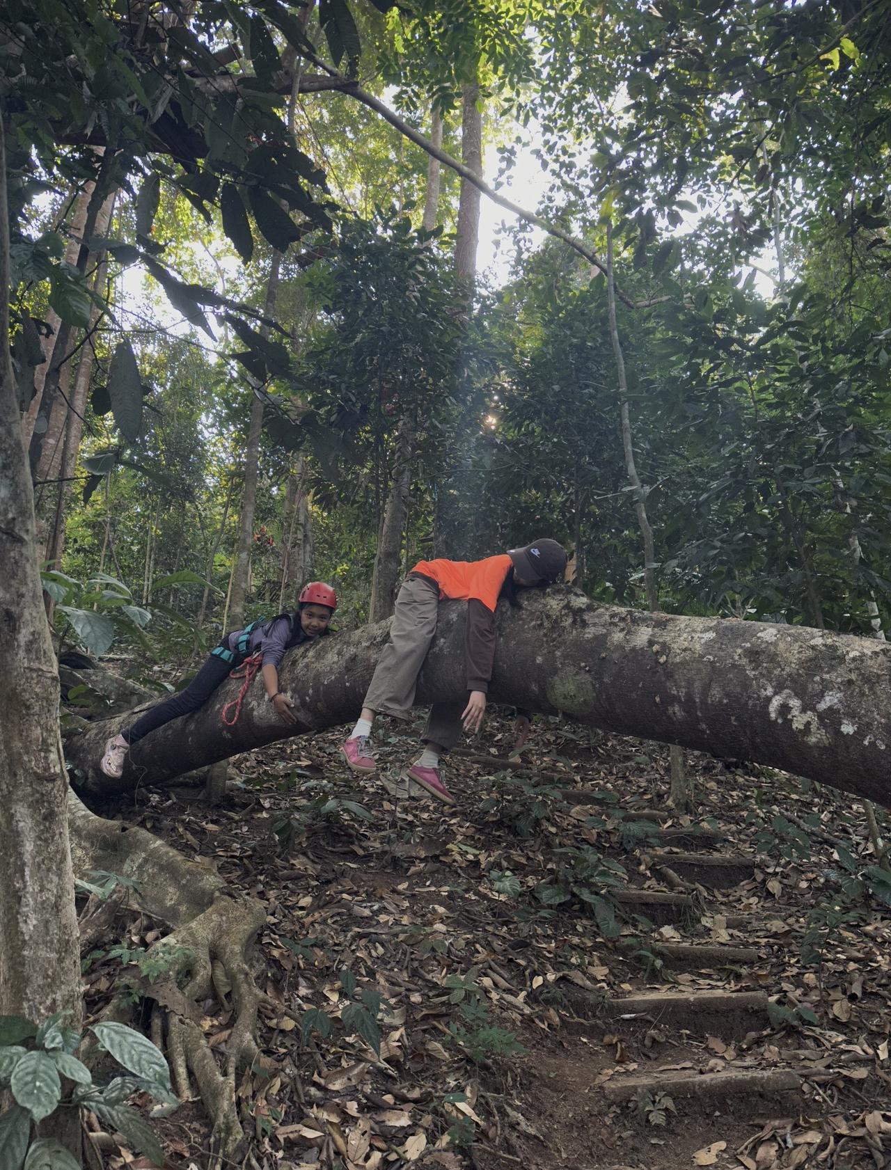来西双版纳！！雨林徒步究竟值不值得去？📍西双版纳去野·雨林徒步(纳板河店