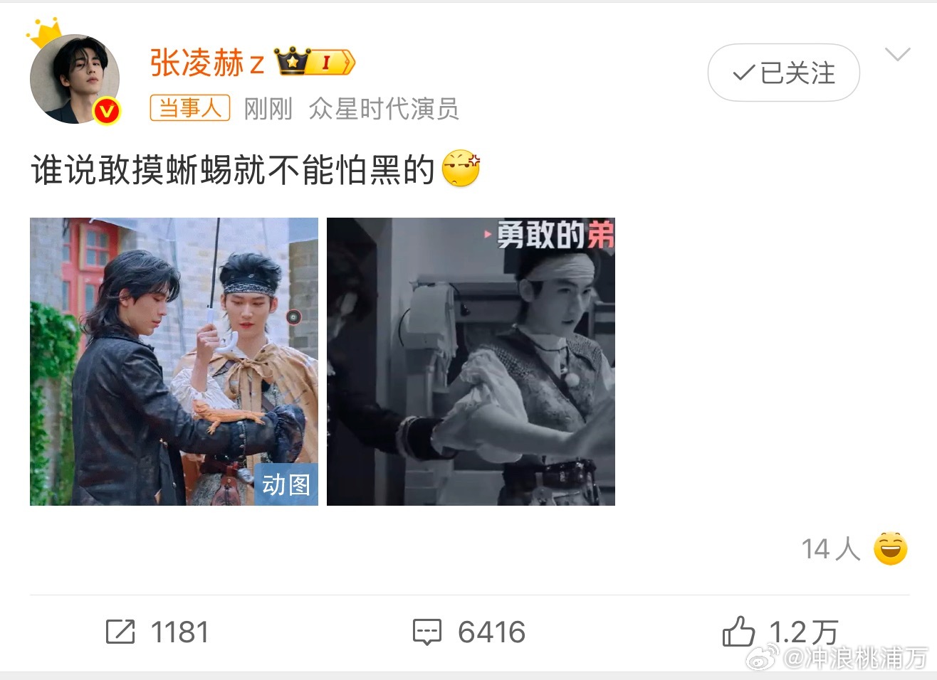 张凌赫谁说敢摸蜥蜴就不能怕黑的张凌赫：谁说敢摸蜥蜴就不能怕黑的~张凌赫敢摸蜥蜴却