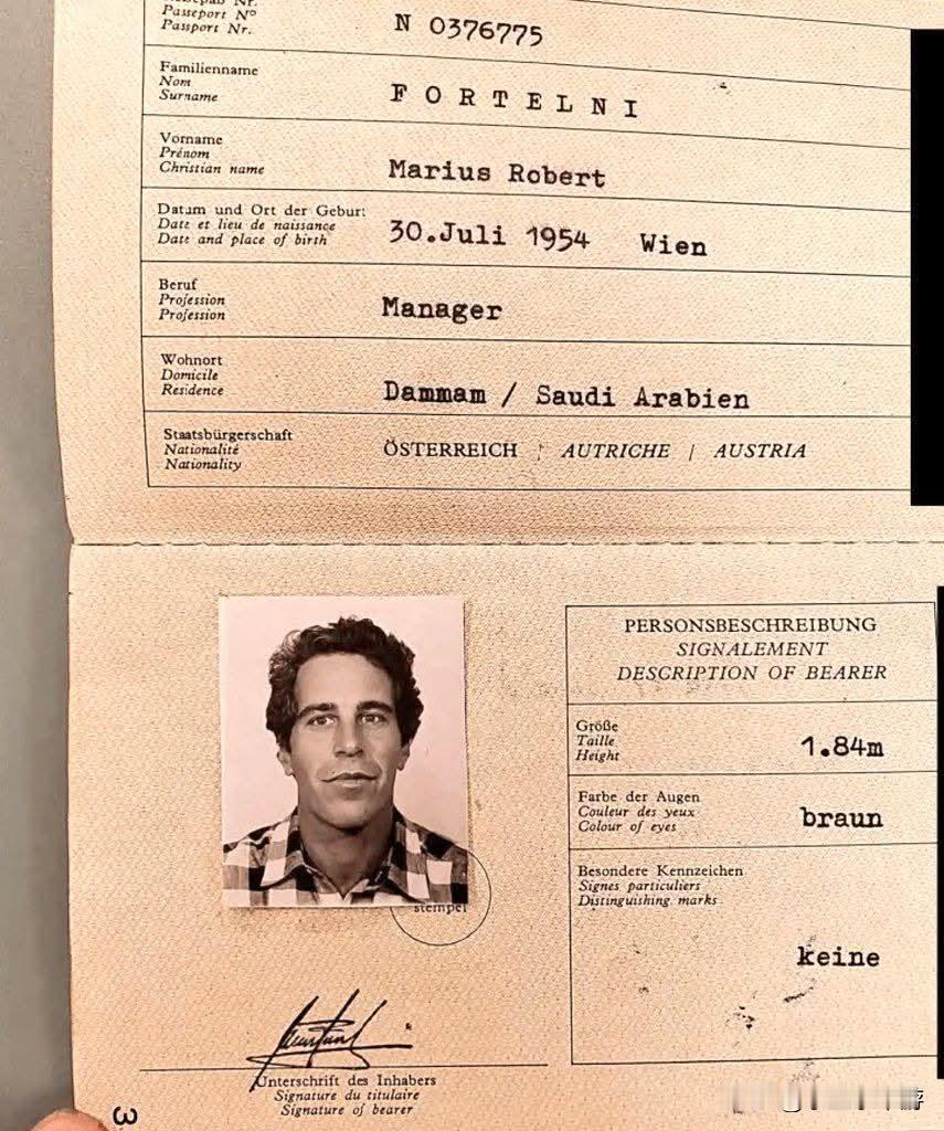 爱泼斯坦曾持有伪造护照，并在沙特阿拉伯居住。当然，你根本查不到爱泼斯坦入境沙特阿