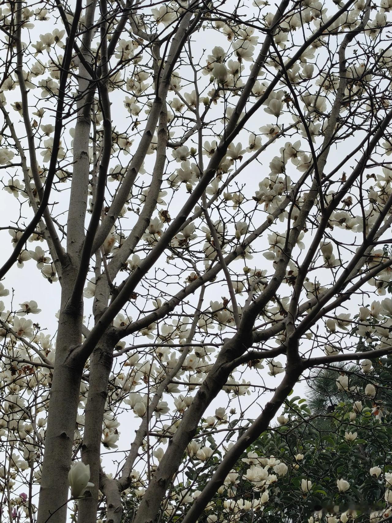 因为47分，我终于明白一个中年女性最大的惭愧与悲哀是什么？一个中年女性，37岁的