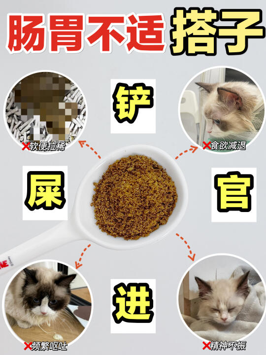 友友们！猫咪软便除了益生菌还有更好的选择