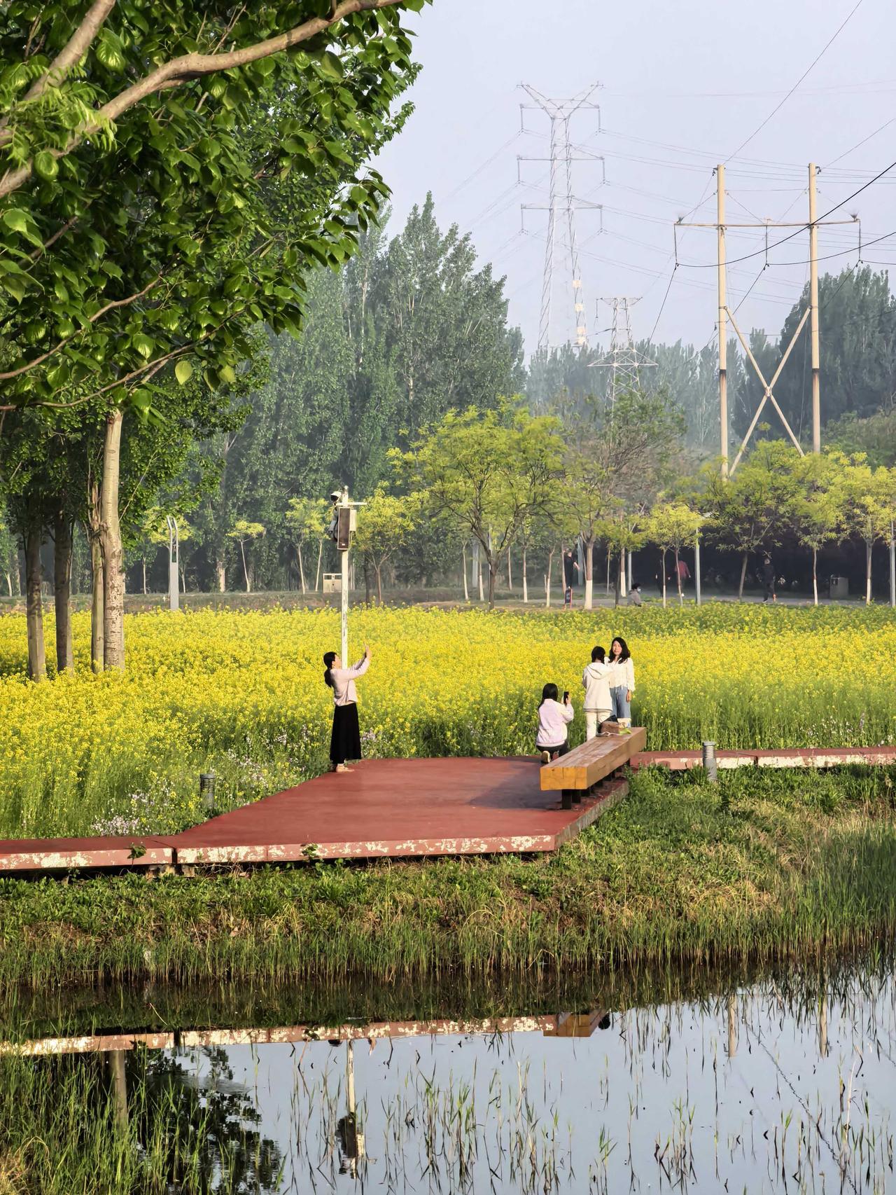 05年第一次接触到李老师时，我还在初中任语文老师。当时李老师是教研室数学教研员，