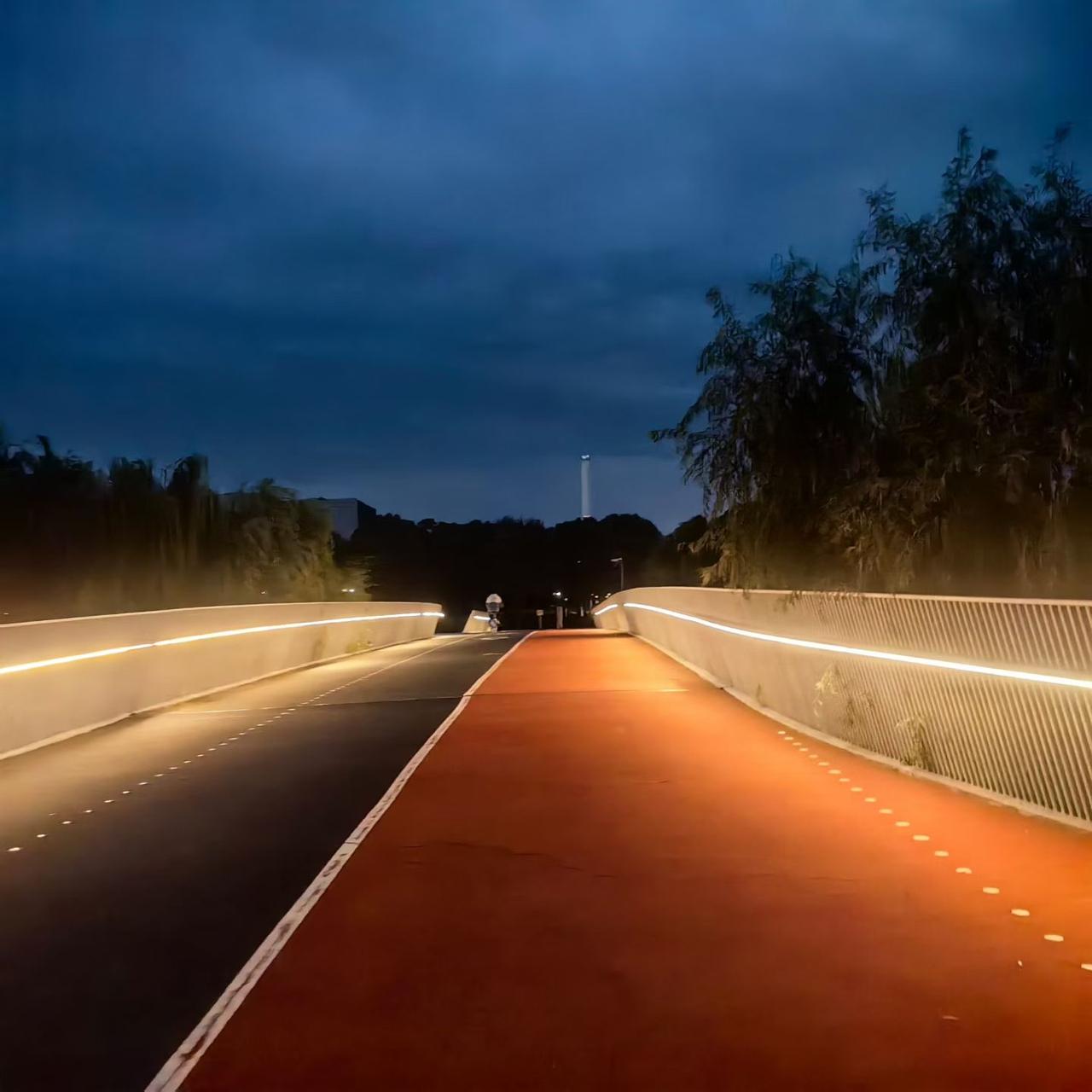 今年双11冷的一塌糊涂。就跟什么都没发生一样。淘宝和京东都没任何动静，新闻再没人