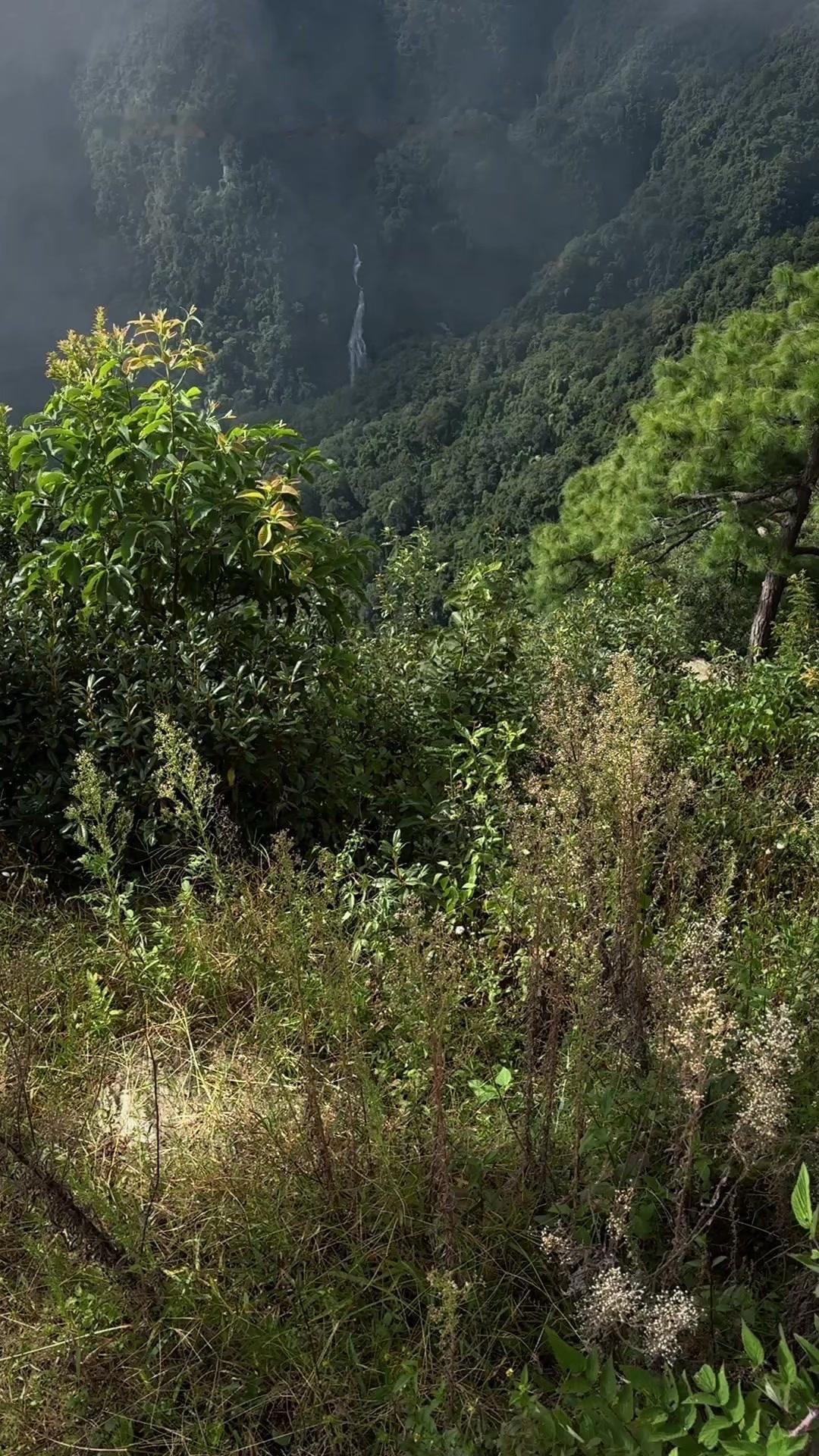 瀑布顶上竟藏着这般奇景？🍃听当地人说附近大瀑布的顶上藏着特别的自然景观，我操控