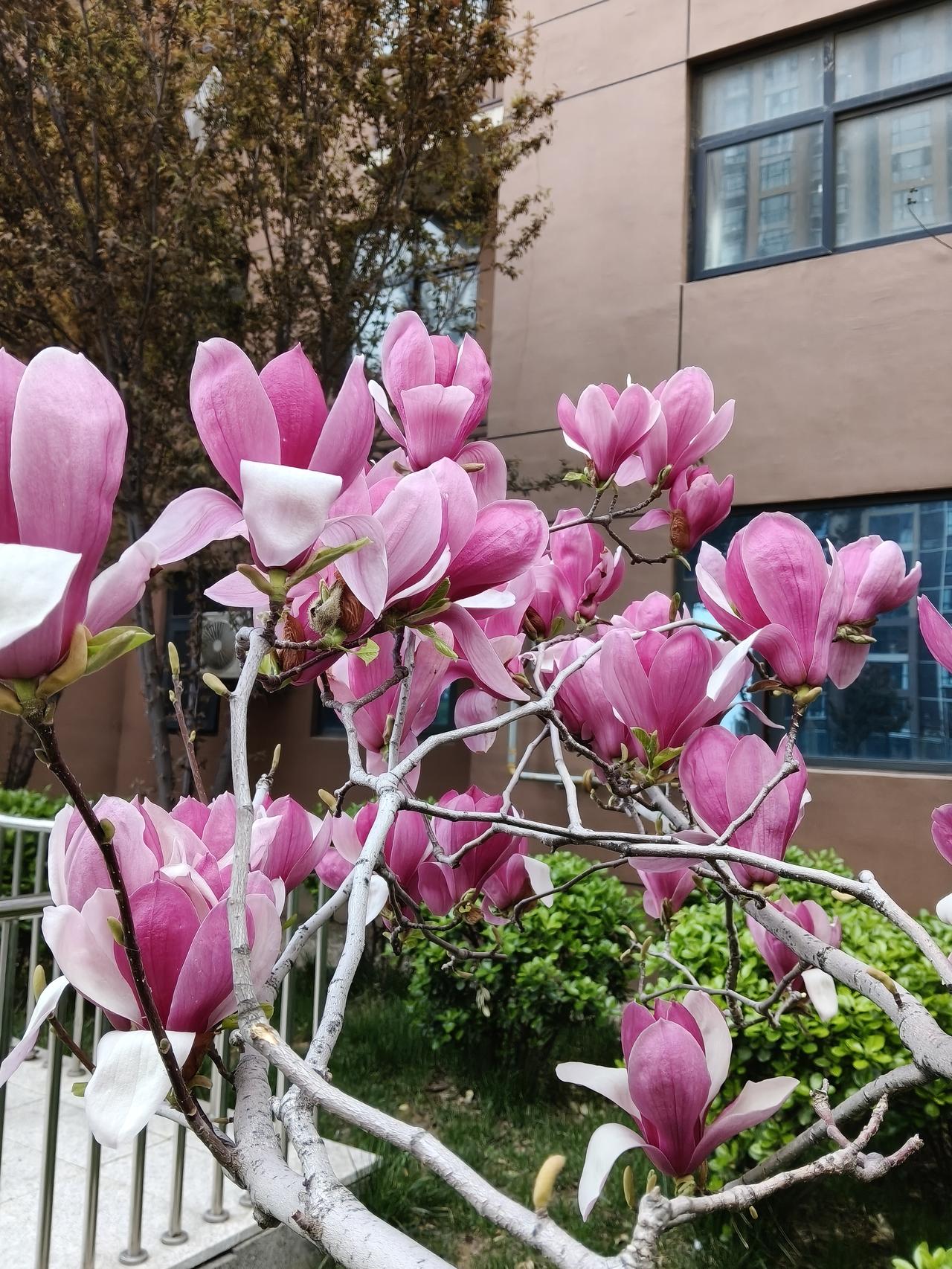 拿捏生育，生男生女并非随机事件，而是受环境资源和基因等多种因素……。网友说：女人