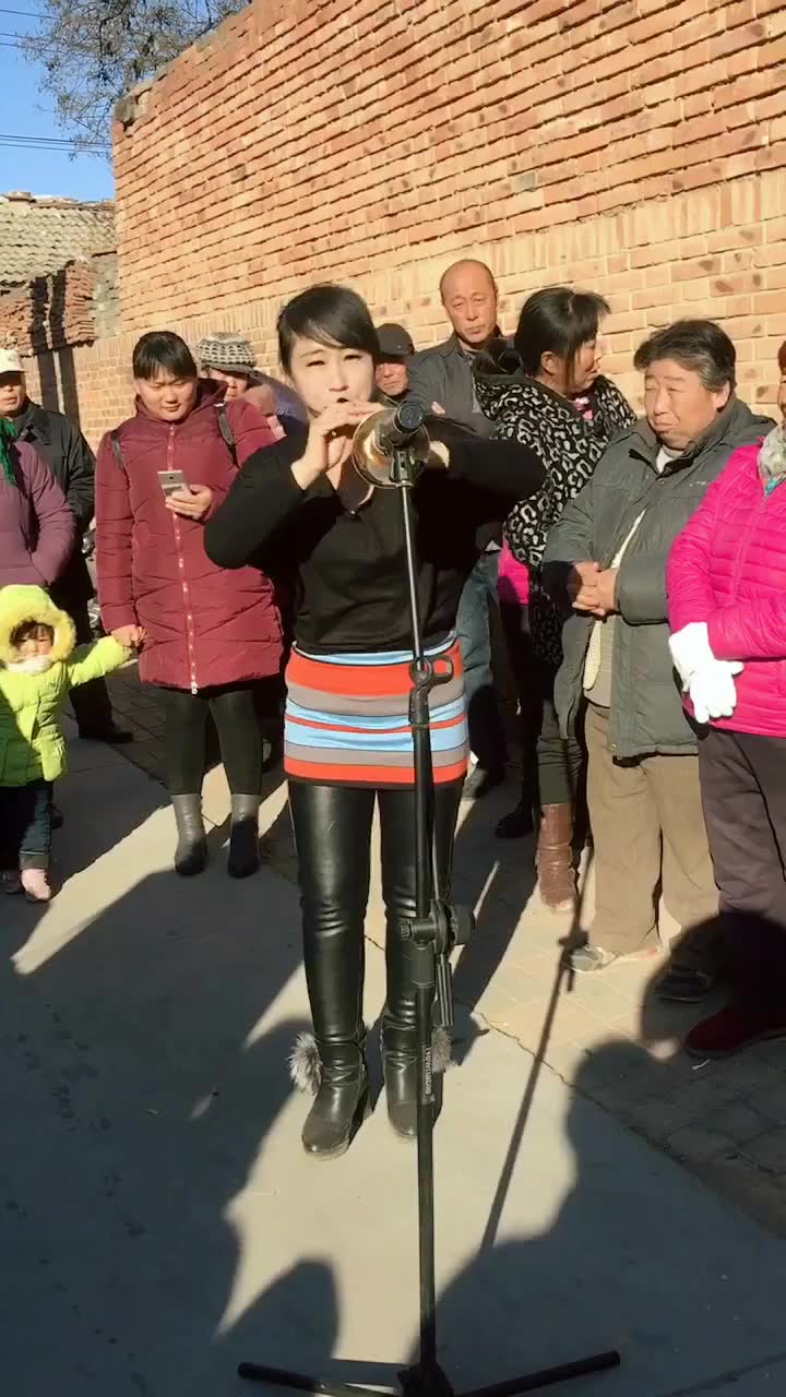 唢呐 说唱脸谱(亳州魏丰收唢呐艺术团)