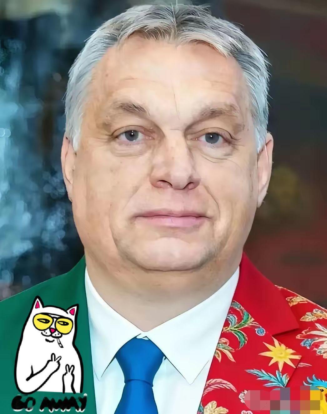 匈牙利宣布消息:4月12日，匈牙利开始投票了！这次选举可能要变天！就在今天早上