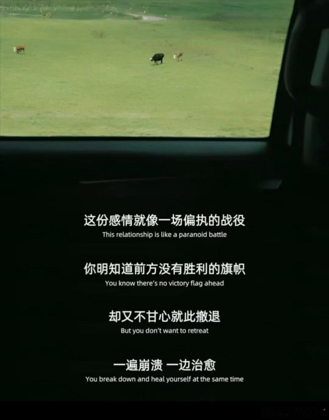 空空如也