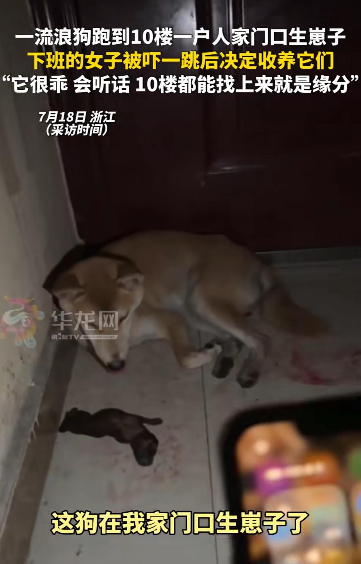 这就是缘分！浙江，女子下班回家，刚到门口就闻到一股血腥味，吓得她赶紧打开手电，结