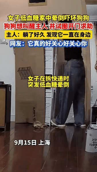 太暖心了！一位漂亮小姐姐养了一只金毛狗狗，这天她在拆快递的时候因为低血糖发作晕倒