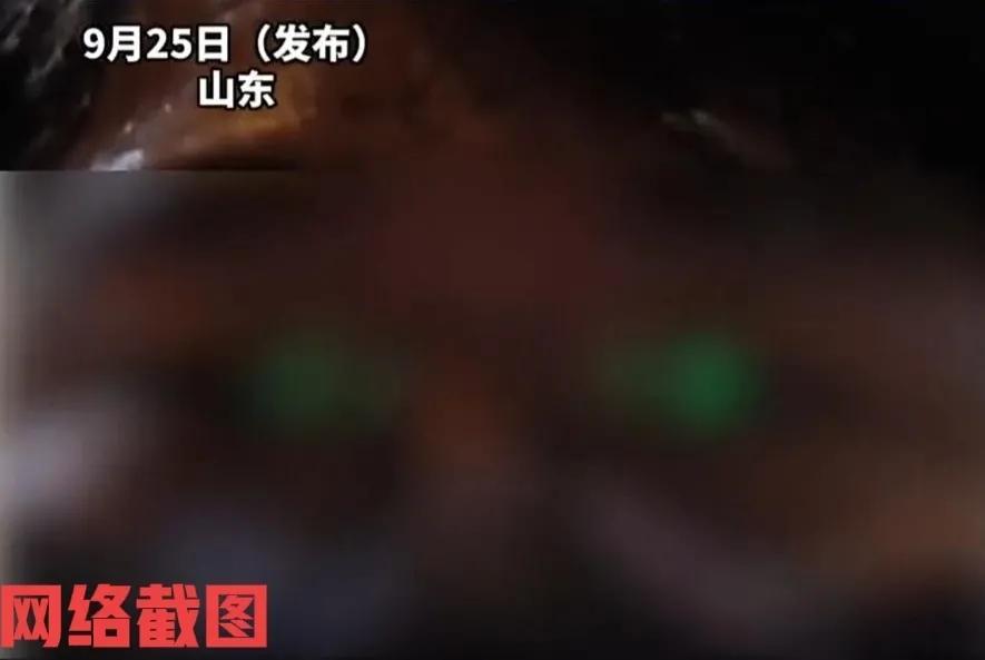 山东有在校男生花十六元买饭。只当男生刚吃到嘴里感觉味道不对，竟然有点馊味，后