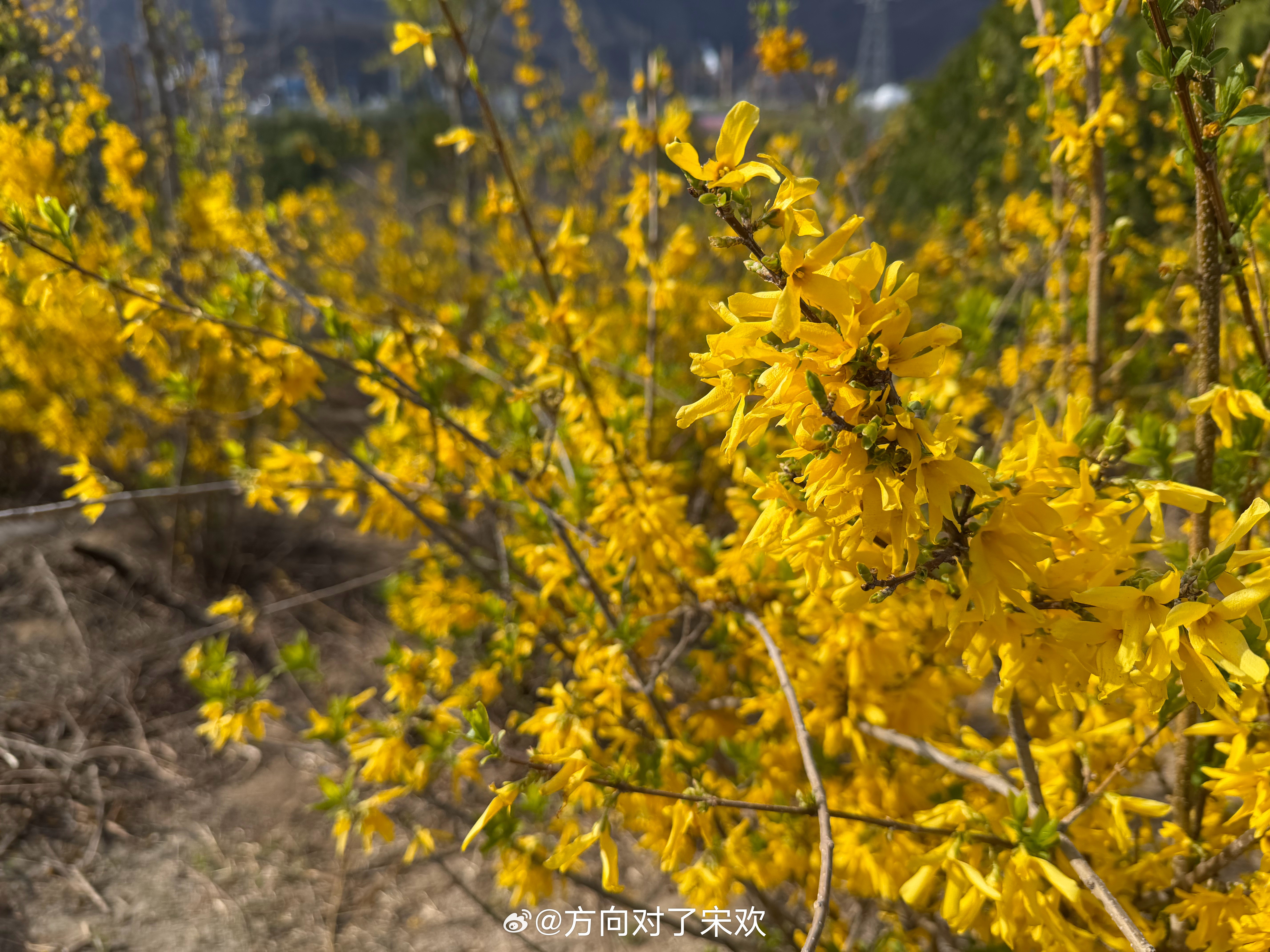 好久没春游了春游北京·白水寺森林公园