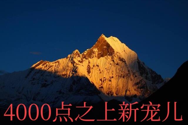 2026年中国将彻底搞定芯片！1、马斯克讲2026年中国芯片将彻底突破！AI智