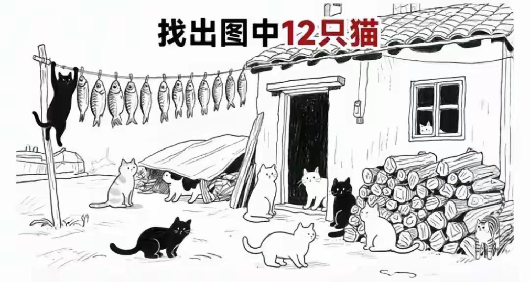 任谁来了也是10只猫，怎么可能是12只