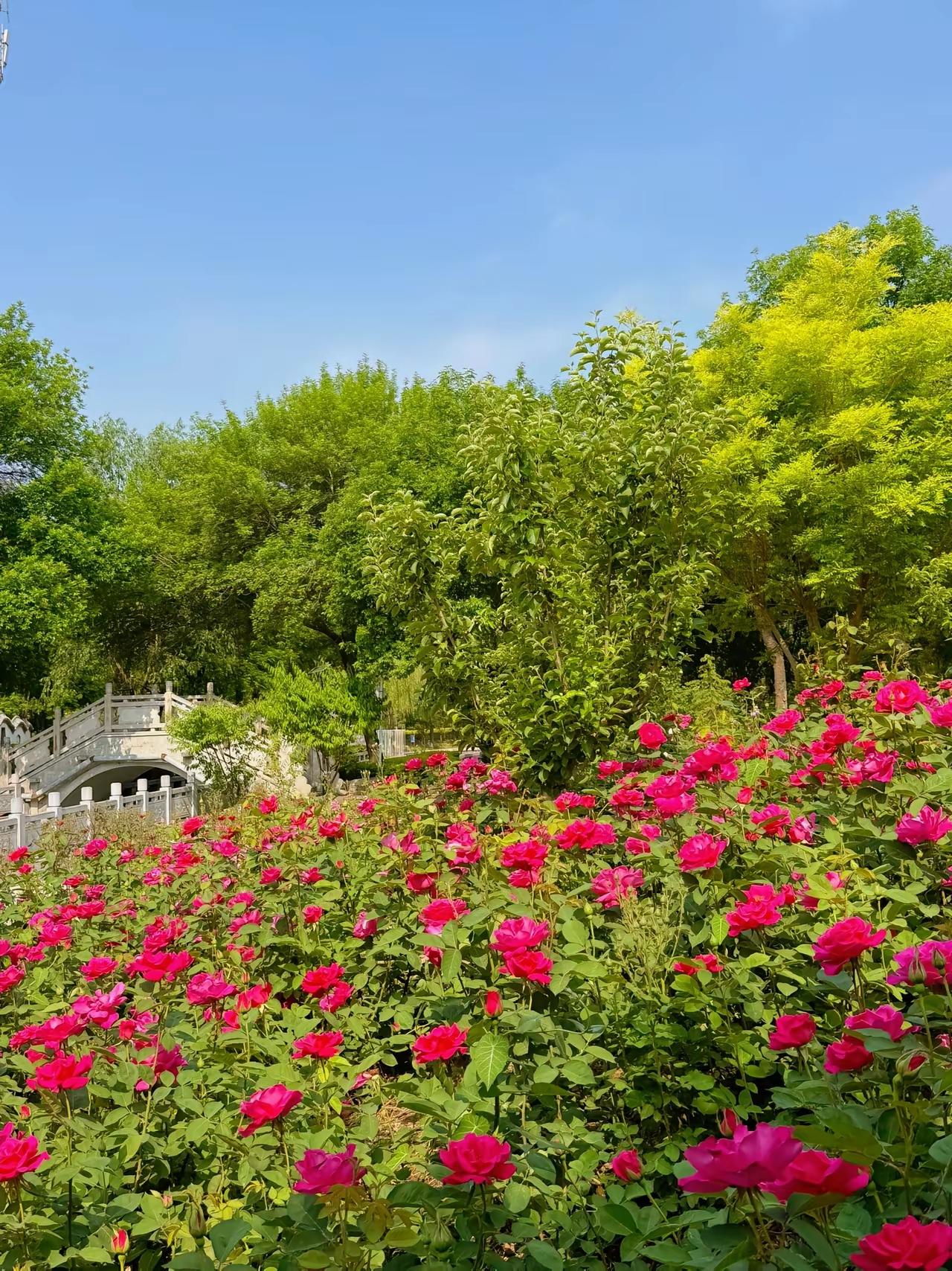 不慌不忙的生活秘诀干货实操版1. 事分轻重，只抓「核心3件事」每天只定