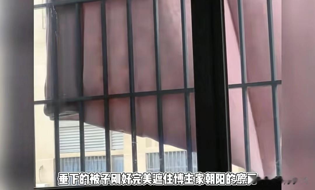 楼上邻居晒被遮阳光，小伙抱猫“呲水枪”反击，猫尿威力绝了！楼上邻居总把被子