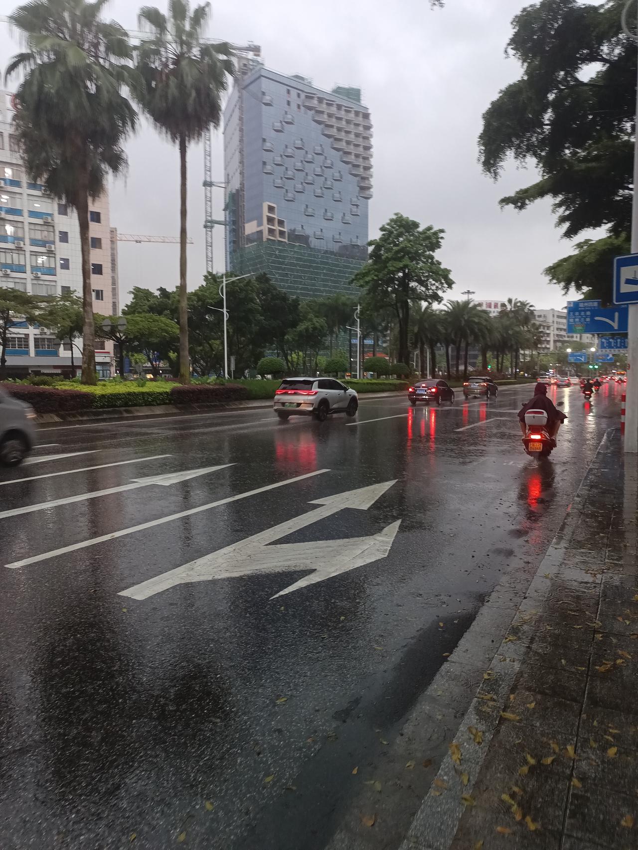 我在端州四路发现一个很严重的问题但不知道怎么说才好了你敢相信吗？这