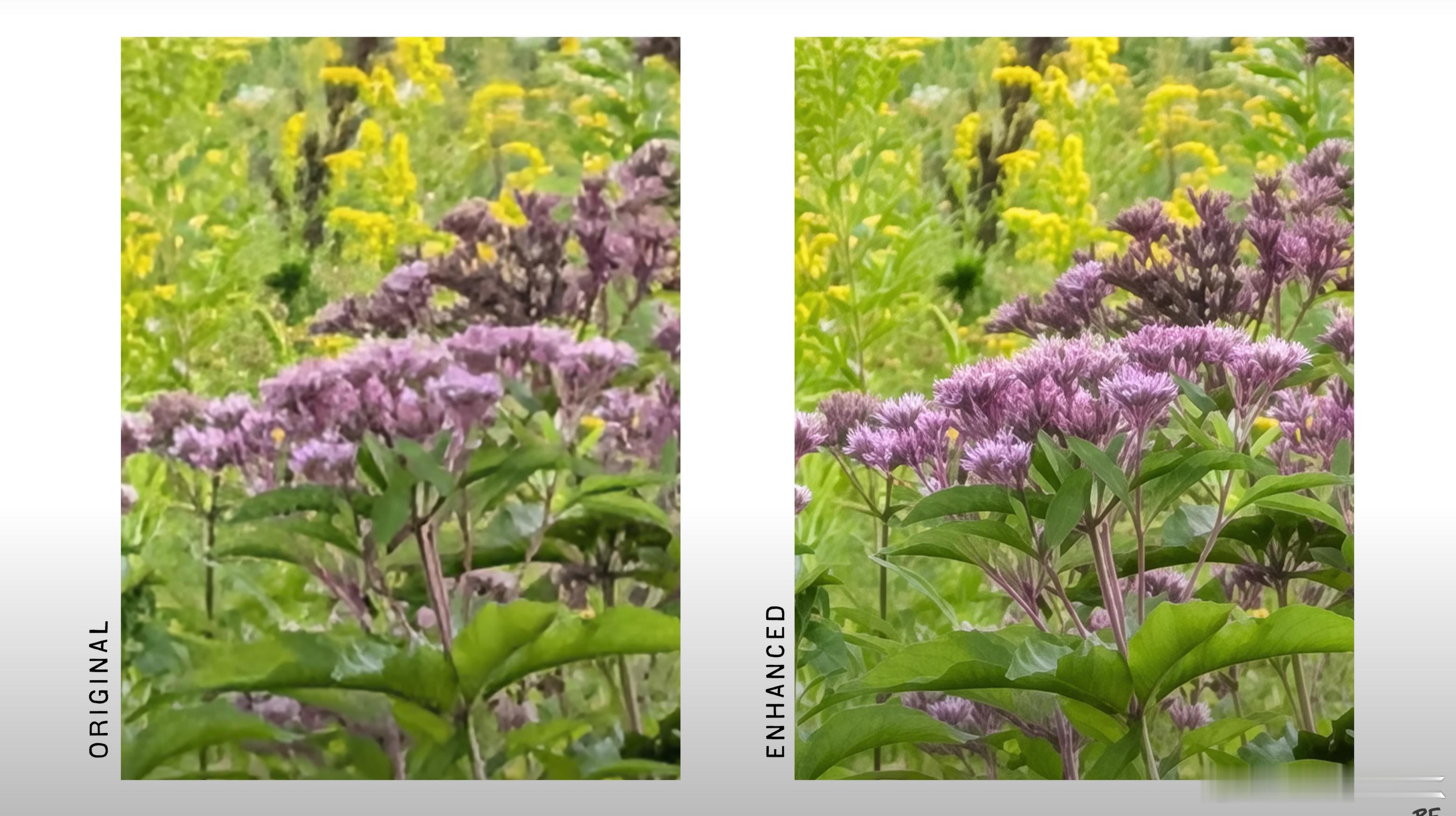 继续谷歌Pixel10Pro的SuperResZoom样张对比，识别到