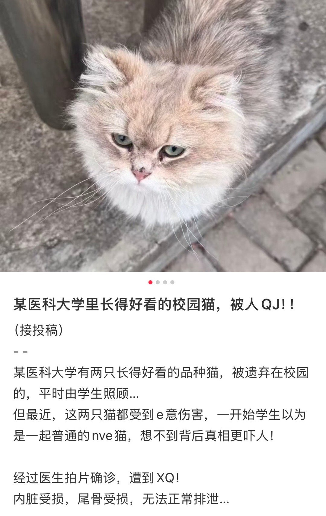 我真觉得有些人连畜生都不算