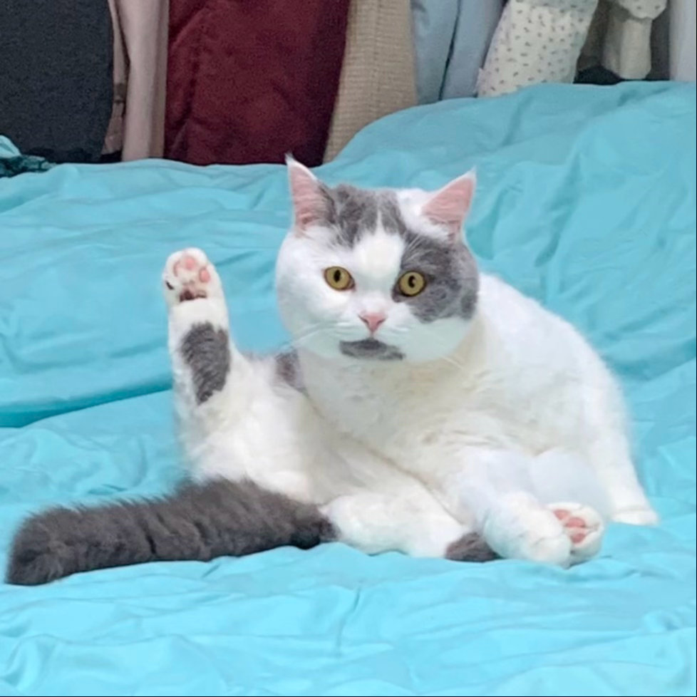 臣妾要告发熹贵妃私通秽乱后宫罪不容诛