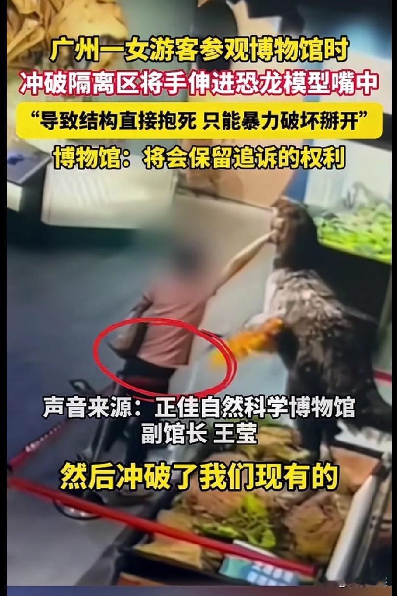 很难理解一个成年人得多欠儿,能欠儿到这个程度。广州一位女游客参观博物馆时,冲破