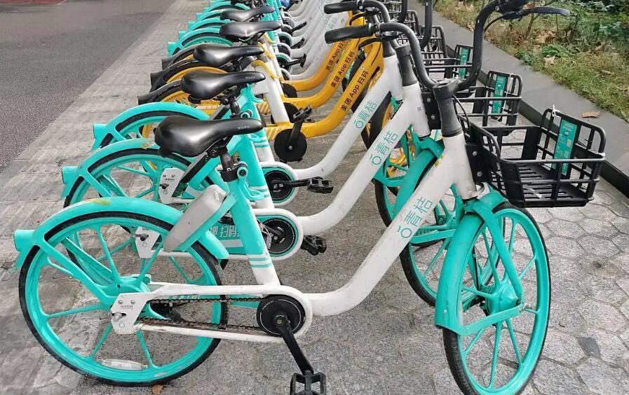 这事儿听着就离谱，上海有个姓李的，因为手头紧，居然拉了个11人的团伙，打起了偷共