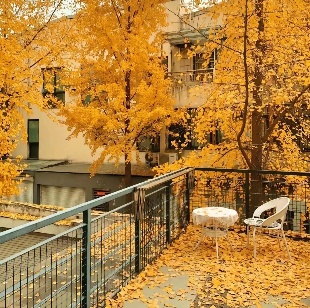 橙色系背景图|暖色系背景图|现代风背景图|简约风背景图|温馨风背