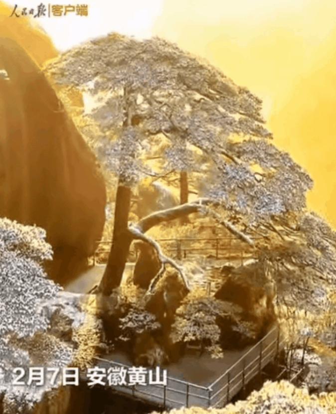 上人民日报了！”2月7日，一男子去爬黄山，本想用无人机记录生活，不料，无人机刚飞