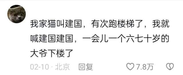 〽️宠物名字太野引发的“惨案”都说了不要乱取名​​​