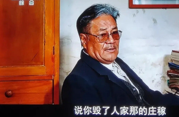 《护宝寻踪》这部剧太真实了，看尤勇演的白鹿原尹村村支书齐有粮就知道了。老演员尤