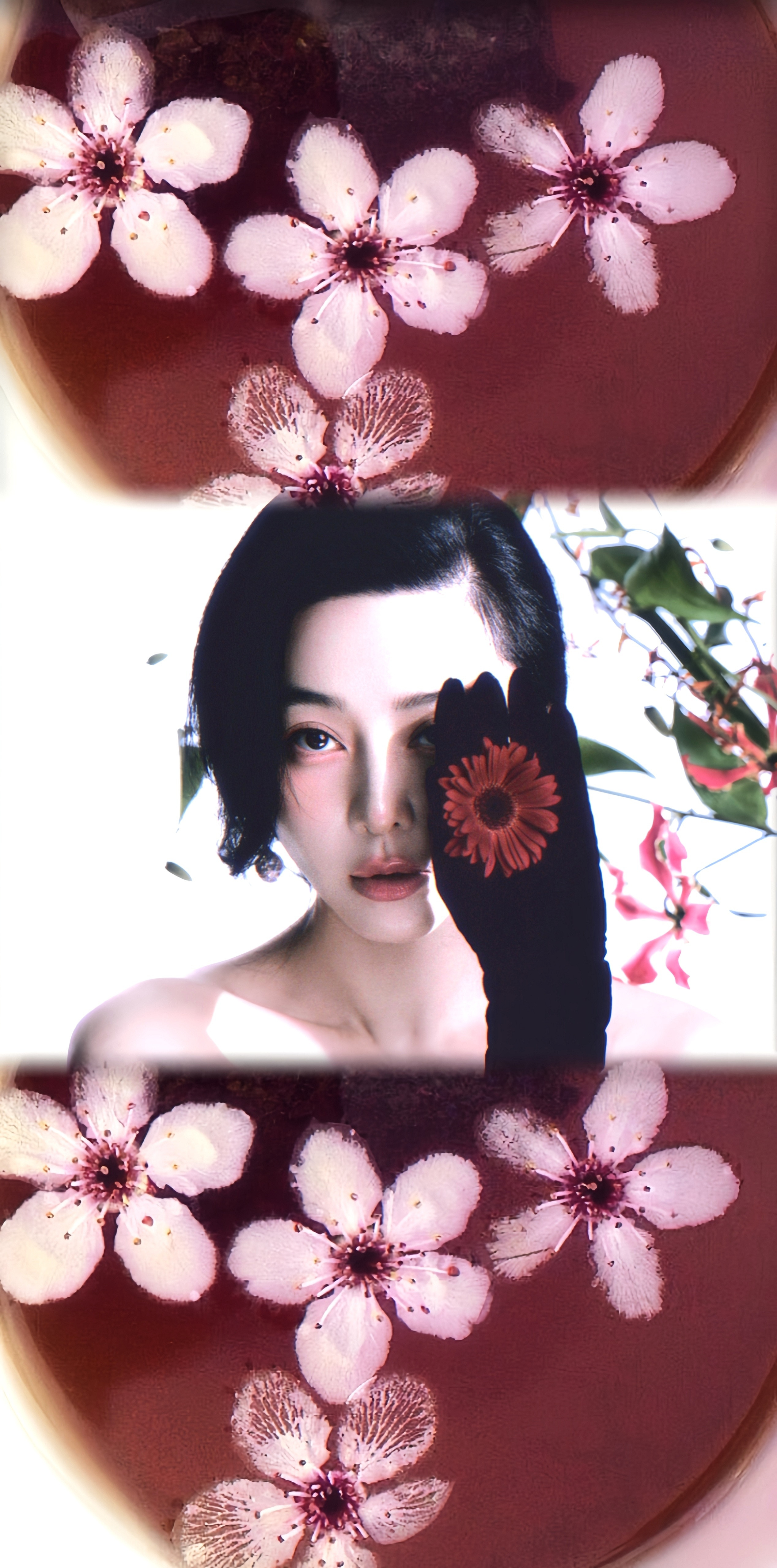 🥀/花与诗.·范冰冰·范冰冰再获国际影后