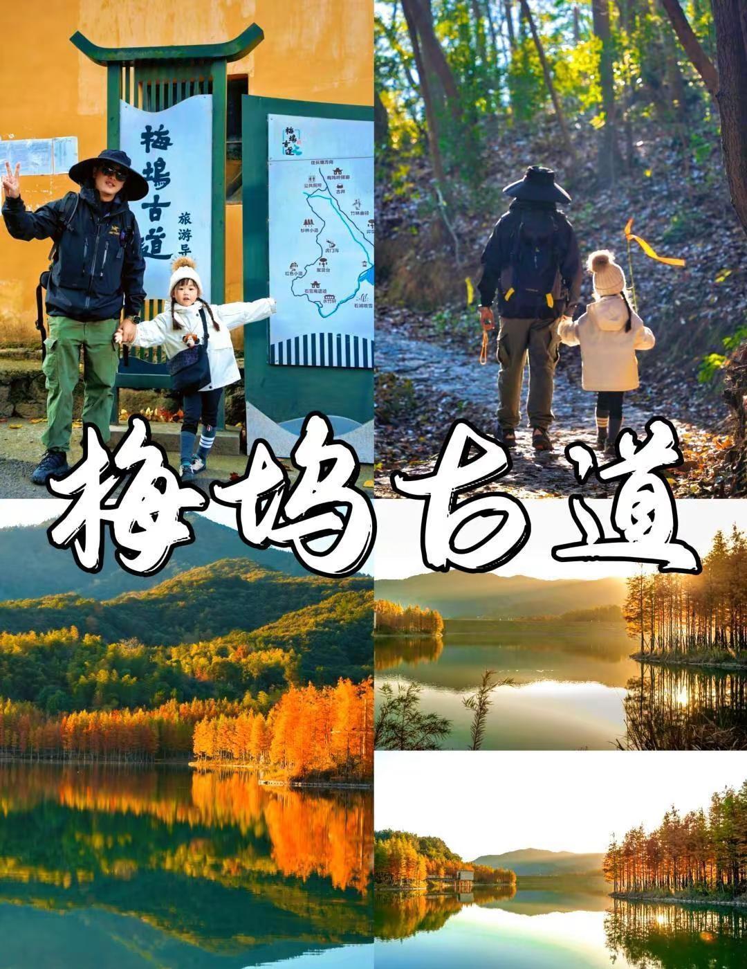 上海出发梅坞古道。2026年1月8日周四，上海出发，当日往返，徒步梅坞古道，打卡