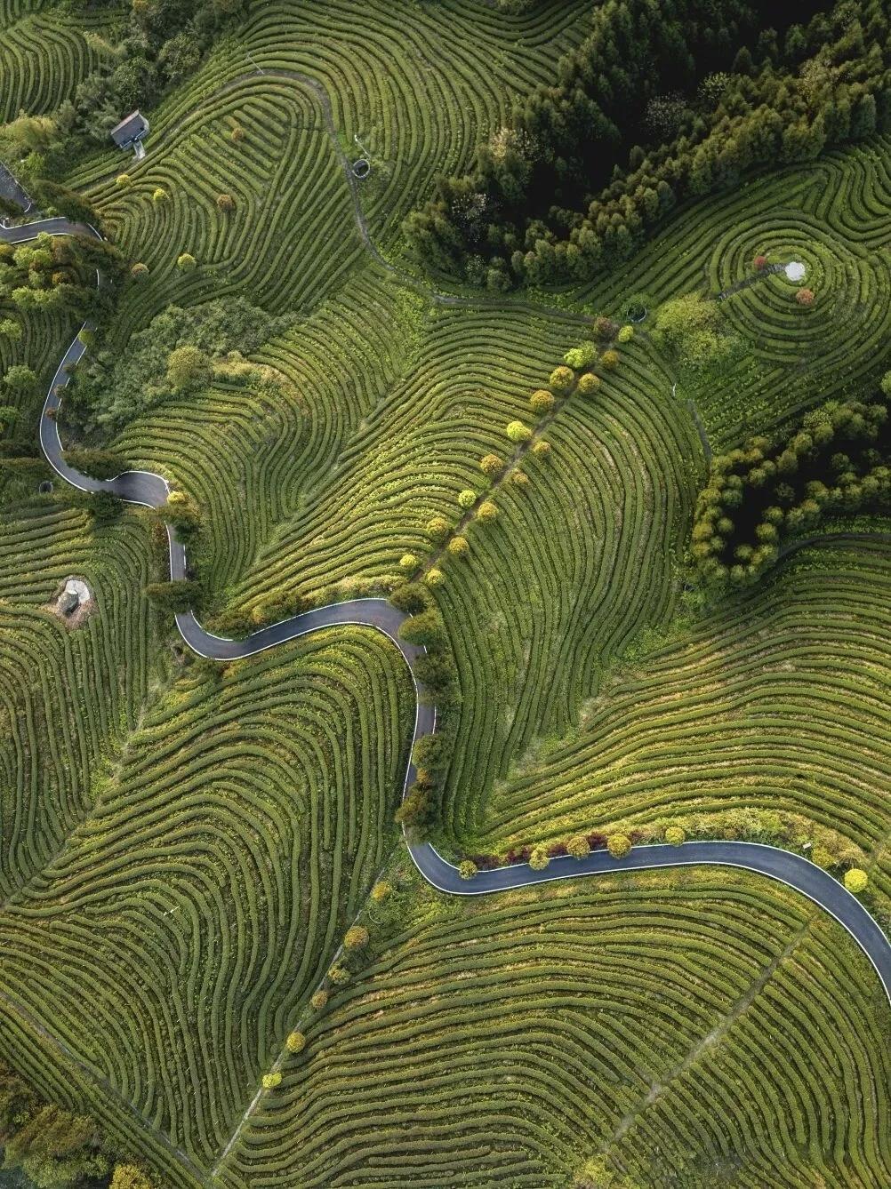 总有人觉得人活着没意思，会问人生的意义是什么。其实人到晚年就会明白，人生本无意义