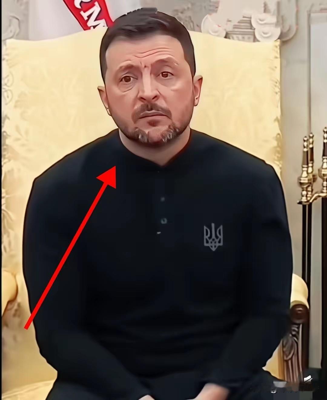 泽连斯基这回算是彻底活明白了。​以前天天喊着要进北约，现在闭口不提了，连自己的