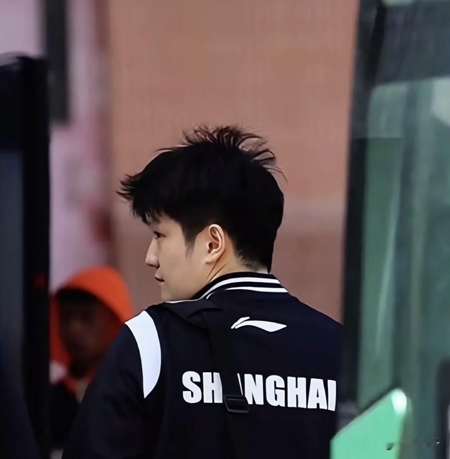 还有几天德甲的就开始了，不知道东哥出发德国了吗？最近网络上有声音说樊振东最快3