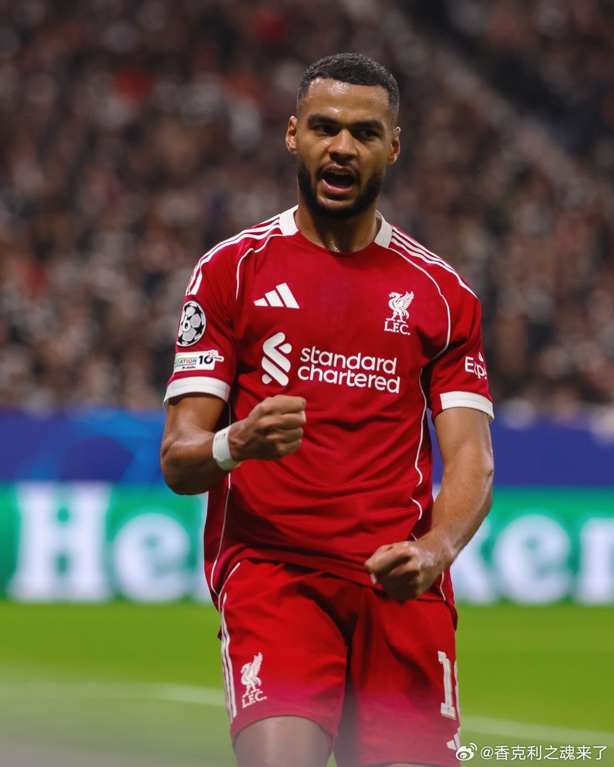 被识破的加克波前利物浦后卫沃诺克：一旦加克波拿球，我就知道他要做什么。他目前非