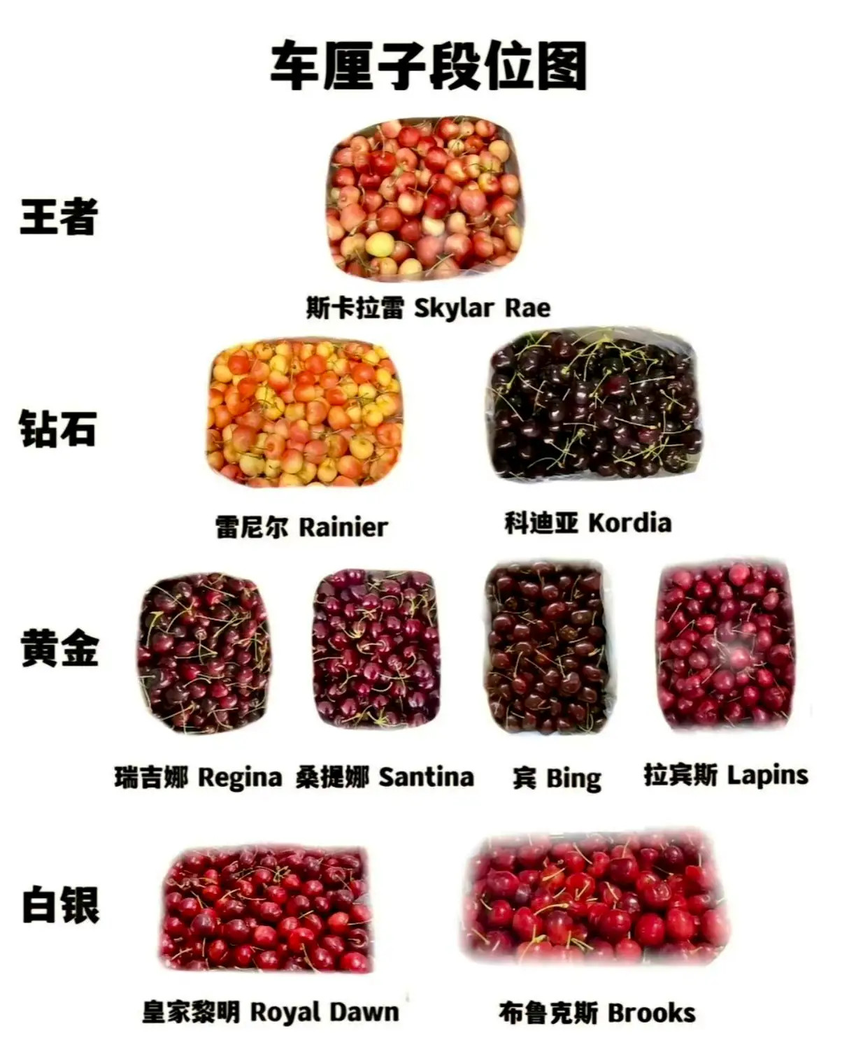 跌落凡间的车厘子怎么没人要了今天车厘子价格据说崩了，比去年低了30%，原因一是说