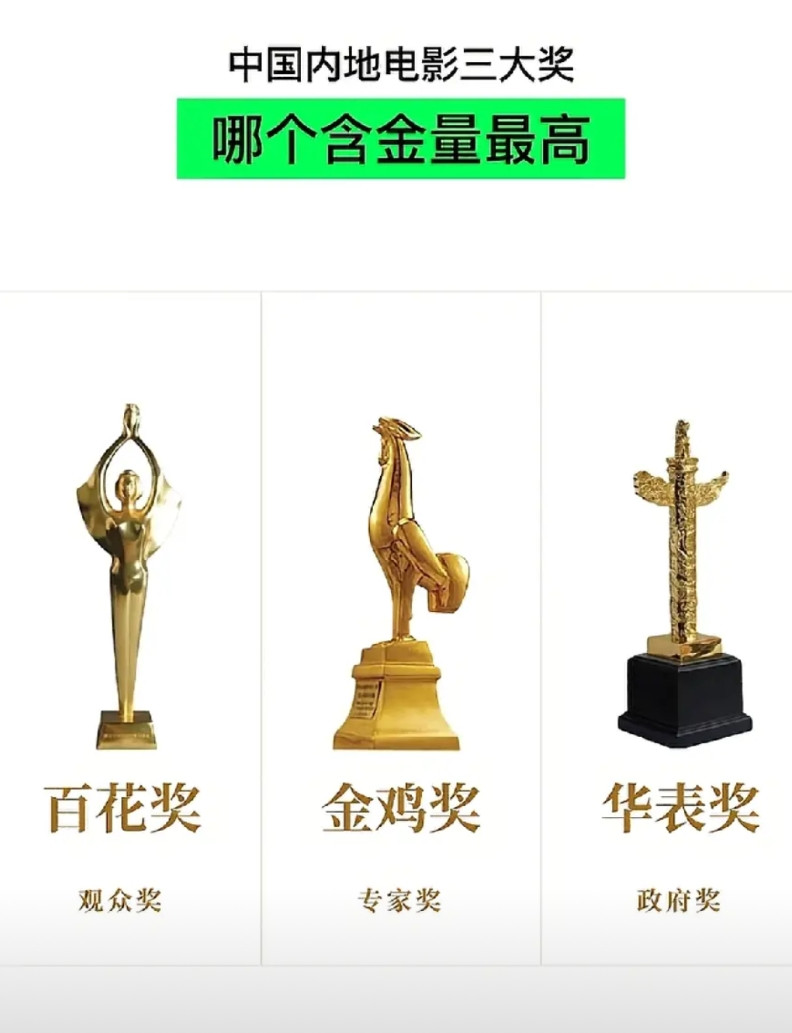 第一是华表奖，这是官方对演员的认可，高度最高，第二百花奖，这是观众对演员的认可，
