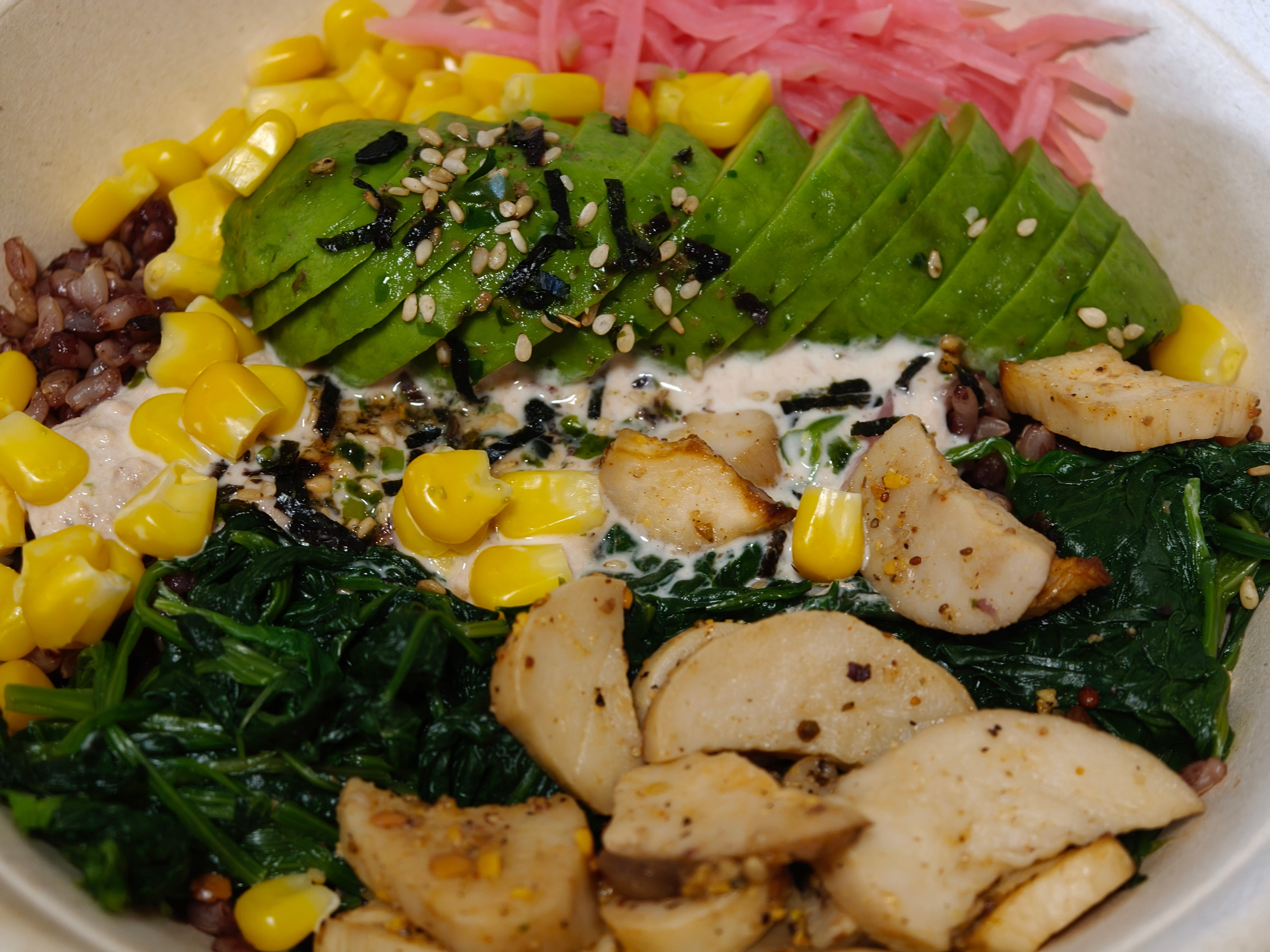 继续健身肥狗饭～