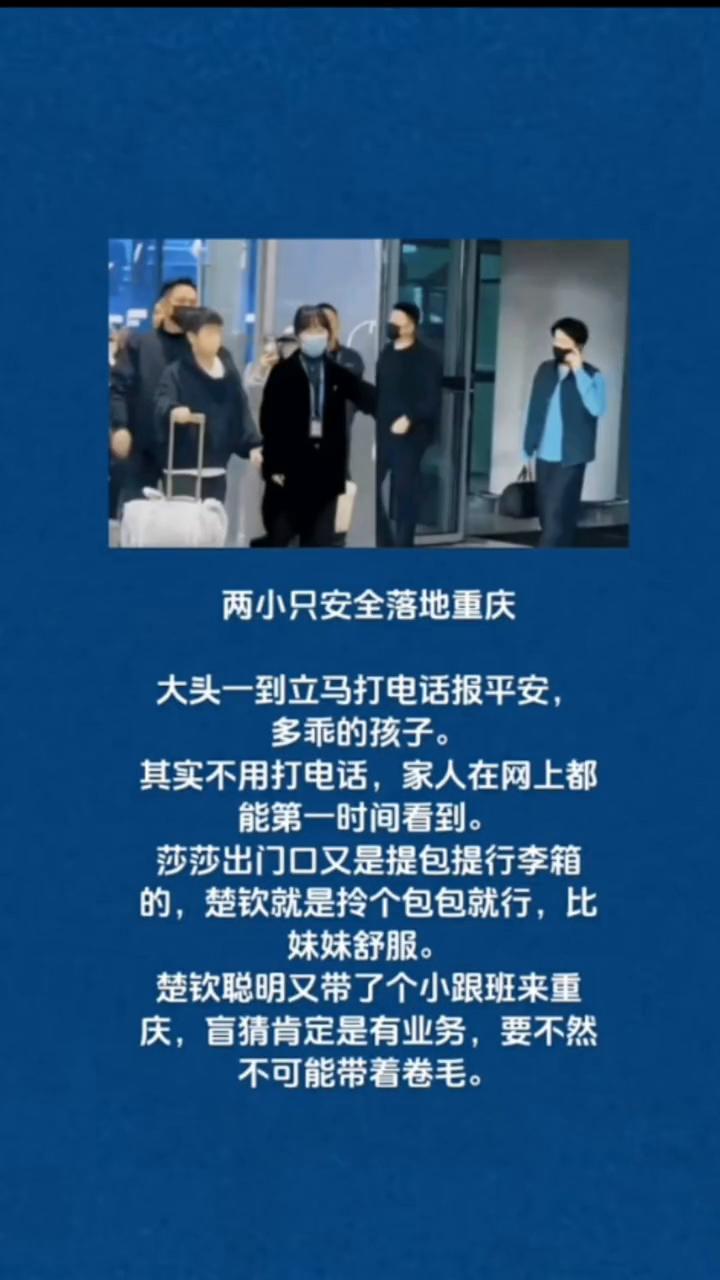 两小只安全落地重庆，大头一到立马打电话报平安，多乖的孩子。其实不用打电话，家人在