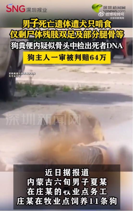 内蒙古一男子养了11条狗，这天他来看狗时，竟发现狗在啃骨头，而且很像是人骨，他意