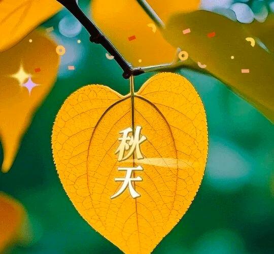 一叶知秋🍁秋色晚  “春花秋月何时了，往事知多少”。已经怒放过，就无需再